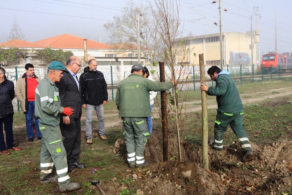 Presidente da Câmara Municipal acompanhou o início das plantações de Amieiros no Caminho Pedonal ...