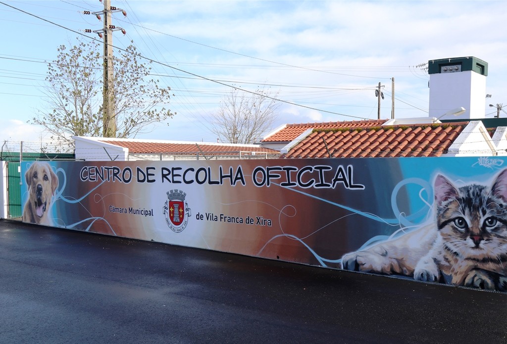Câmara Municipal de Vila Franca de Xira reabilita e amplia  as boxes do seu Centro de Recolha Ofi...