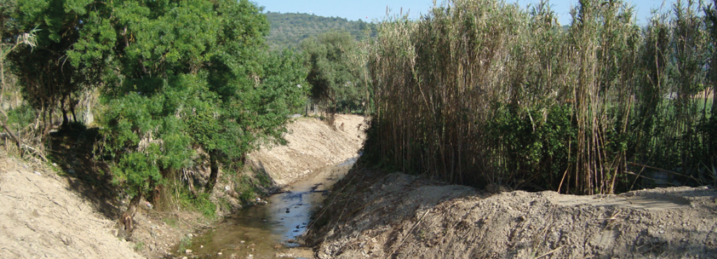 Primeira fase de limpeza de linhas de água decorre até junho de 2020