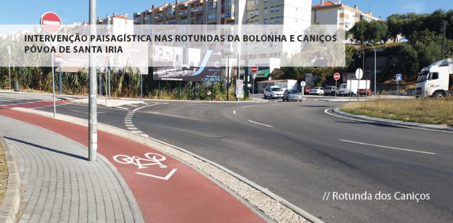 Rotundas da Bolonha e dos Caniços vão ter requalificação paisagística