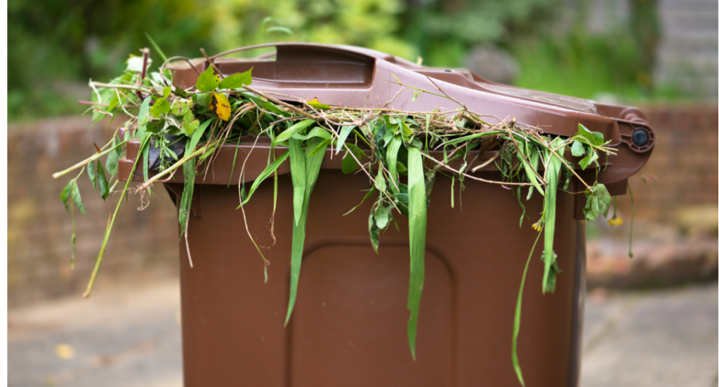 Recolha seletiva de resíduos urbanos biodegradáveis vai ser alargada à cidade de Alverca do Ribatejo