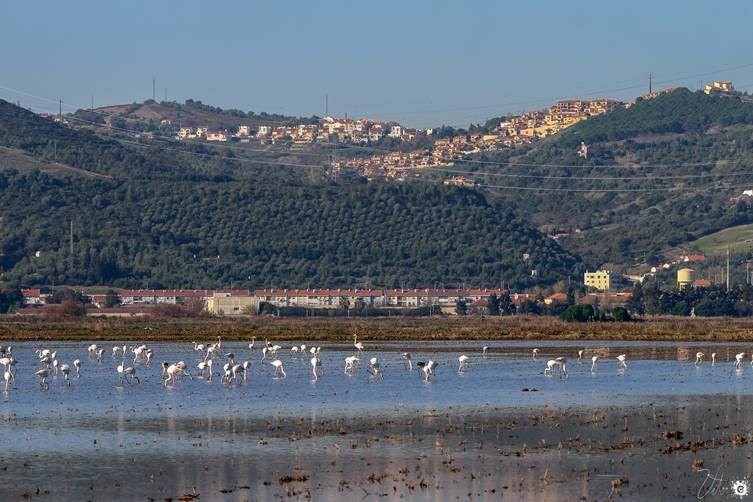 Câmara Municipal de Vila Franca de Xira assume a presidência da Comissão de Cogestão da Reserva N...