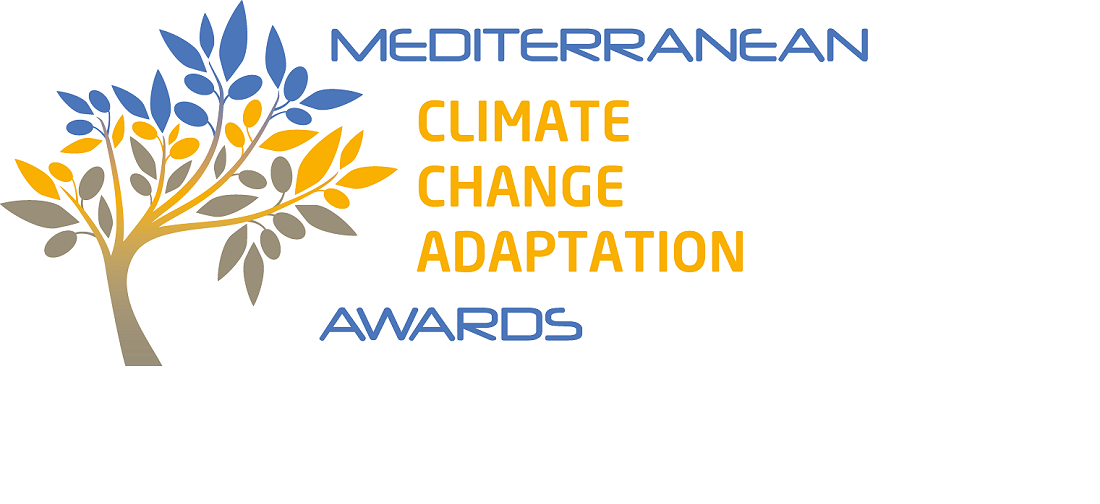 Plano Metropolitano De Adaptação às Alterações Climáticas da AML vence prémio internacional