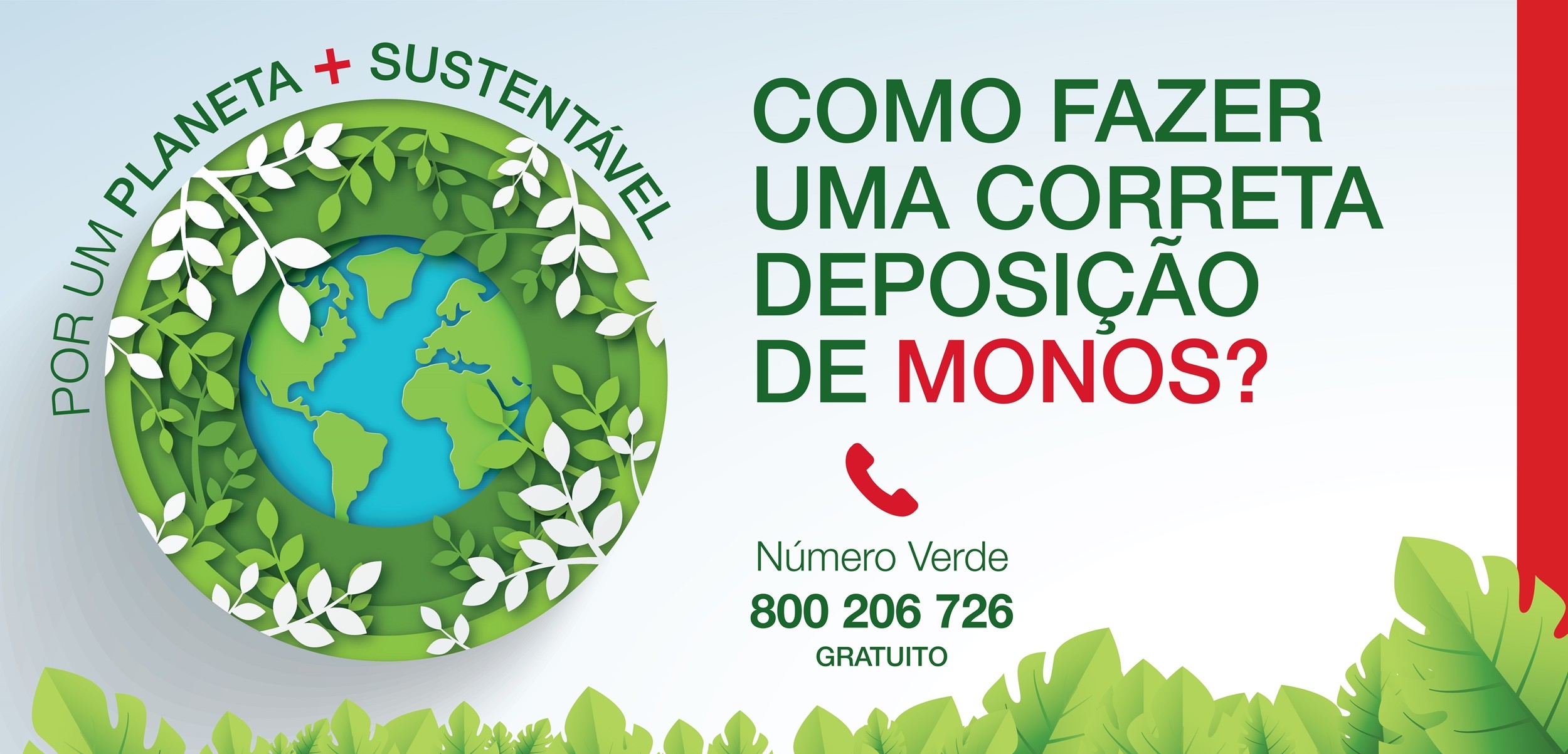 Conheça os dias e horas certos para recolha de monos. Colabore!