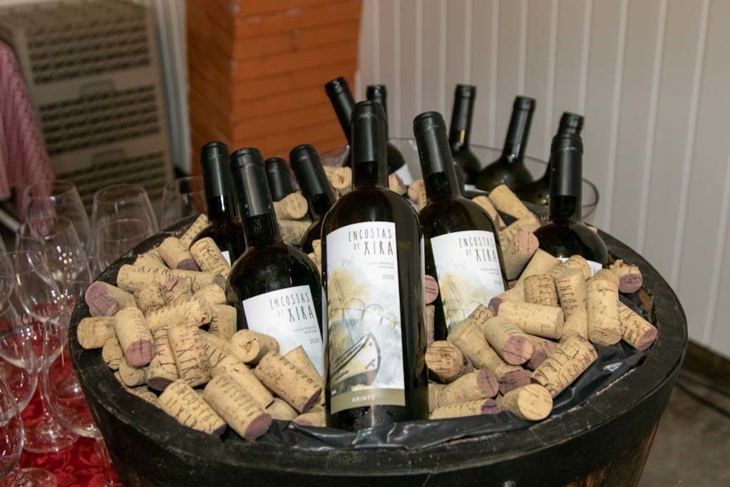 Vinho “Encostas de Xira” obtém boa classificação em provas cegas 