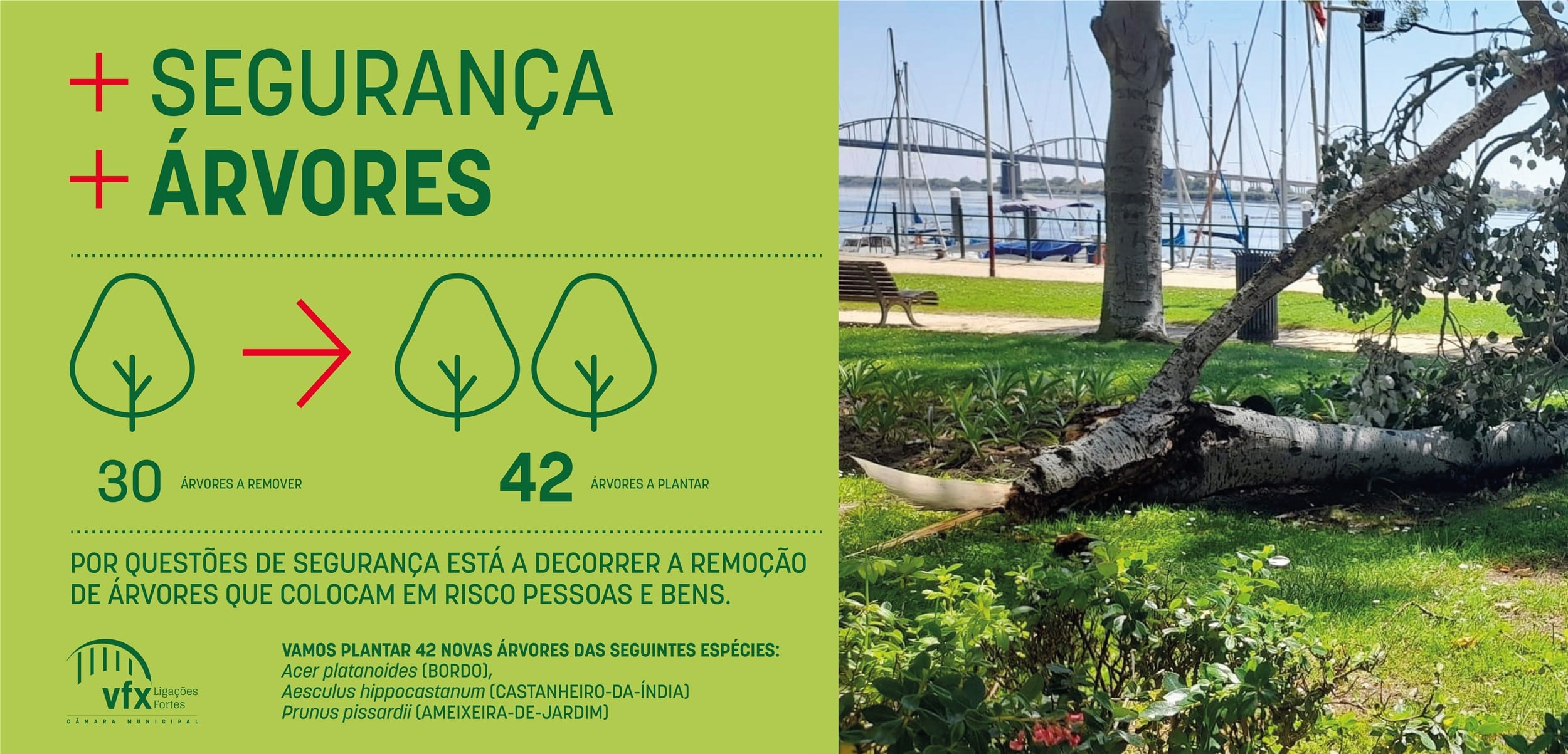 Revitalização do Jardim Constantino Palha
