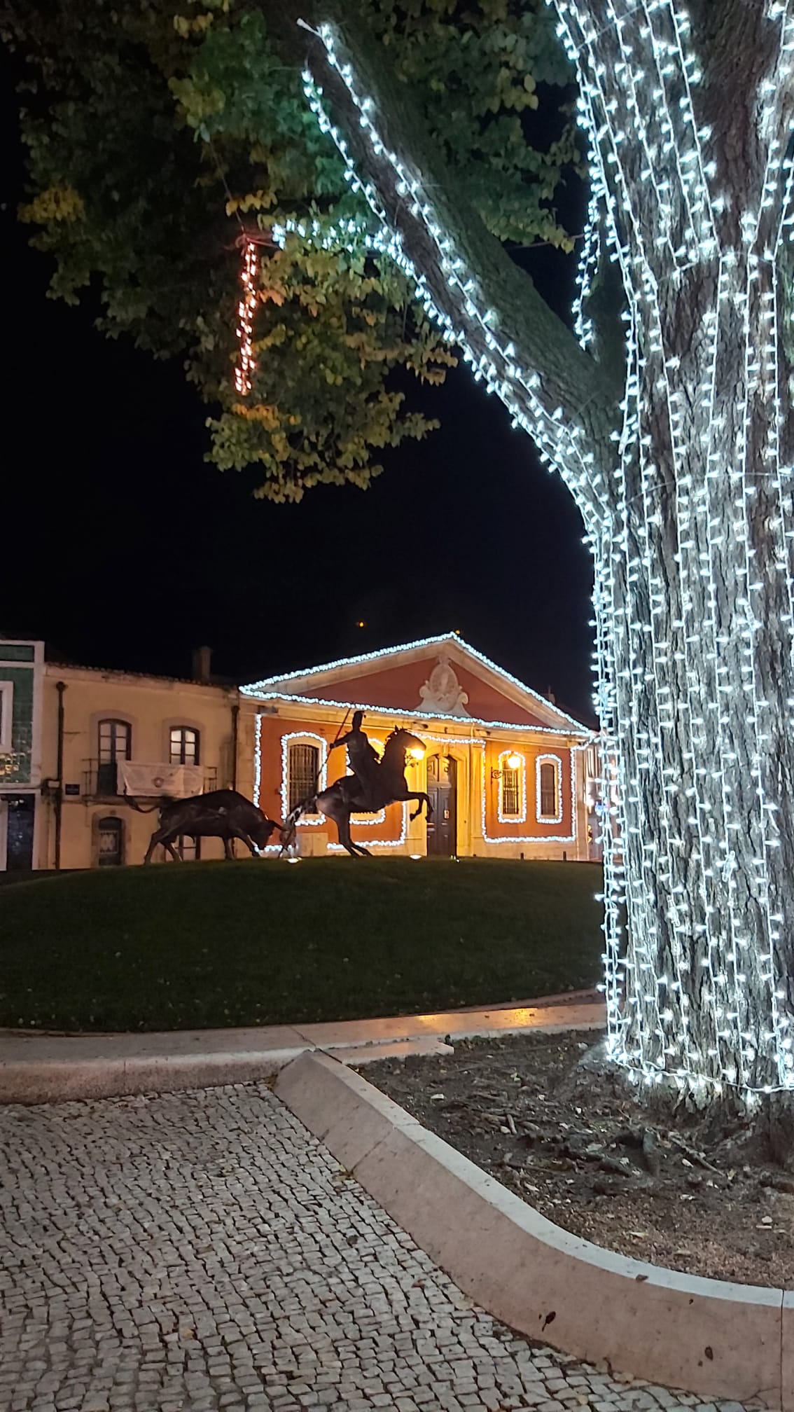 Luzes de Natal até Dia de Reis em todo o Concelho de Vila Franca de Xira