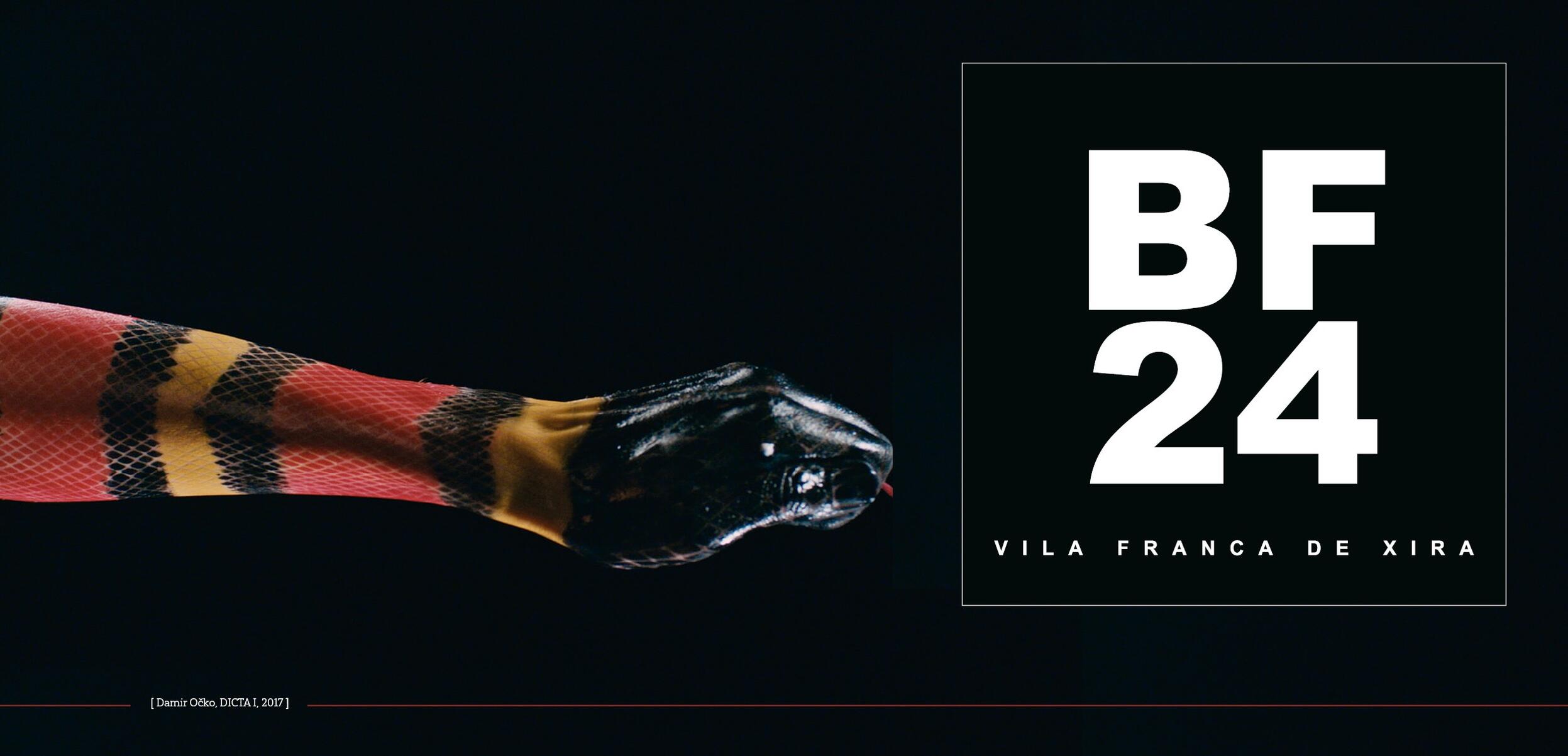 BF24 – Bienal de Fotografia afirma-se como marco cultural em Vila Franca de Xira