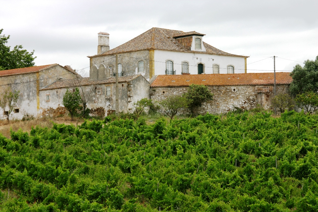 Quinta do repouso 1 1024 2500