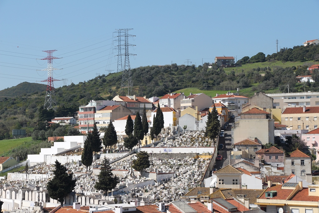 Cemit rio municipal de vila franca de xira 1 1024 2500