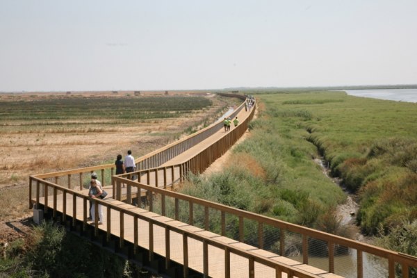 Parque Linear Ribeirinho Estuário do Tejo 