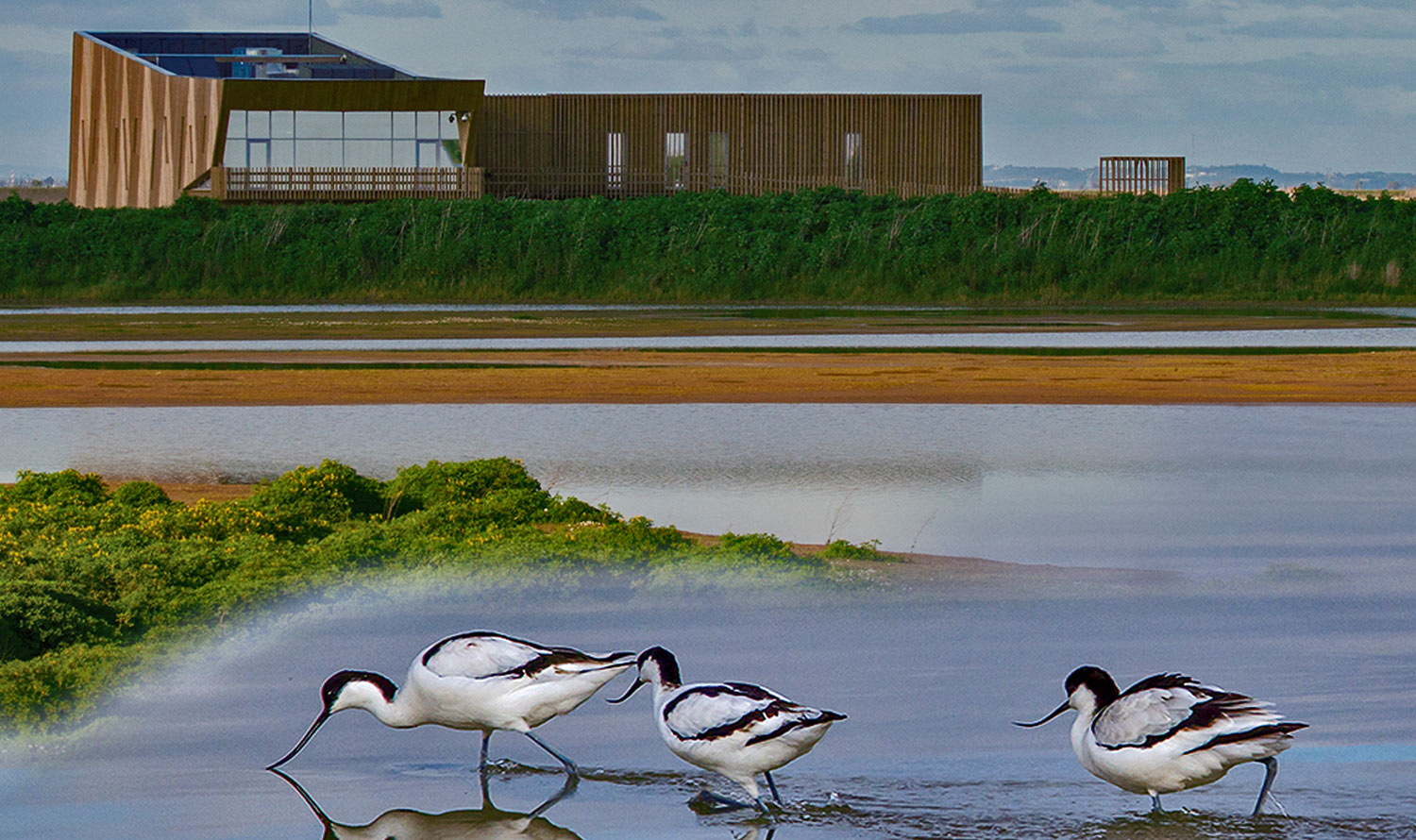 EVOA - Espaço de Visitação e Observação de Aves