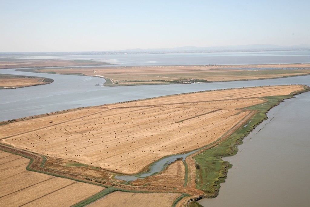 Estuário do Tejo - Ermida de Alcamé, Ponta d’ Erva, Lezírias