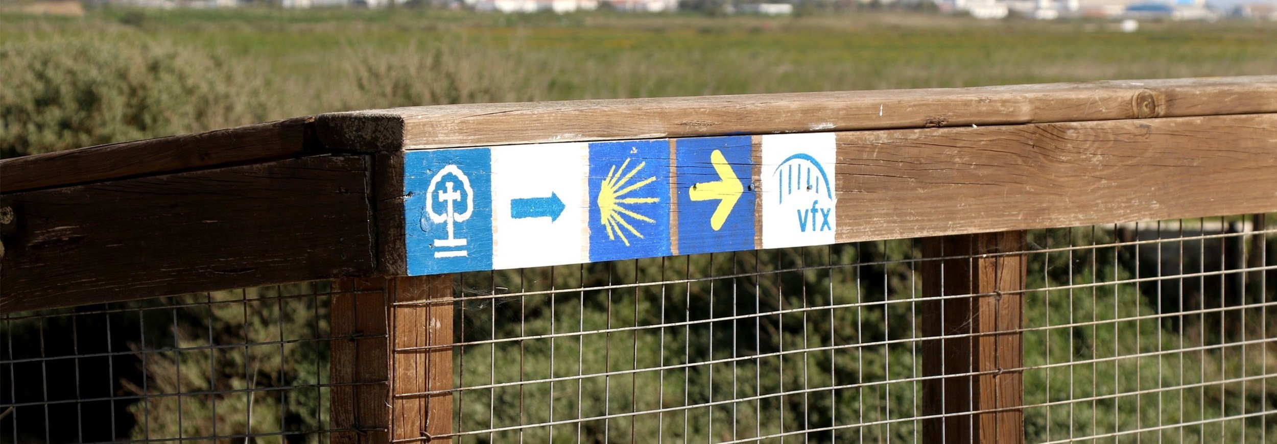 Caminhos da Fé