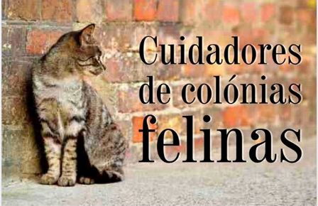 Cuidadores de colónias felinas