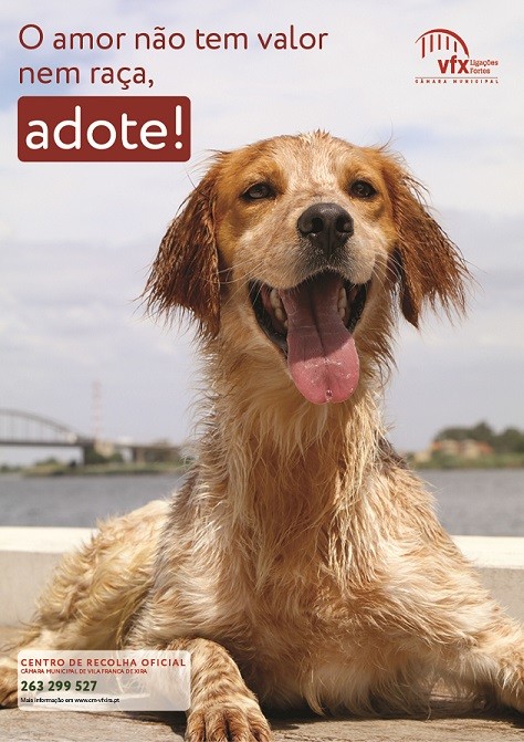 Imagem cartaz CRO adopção