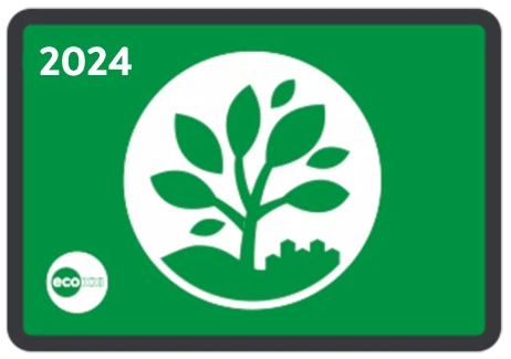 bandeiraverdeecoxxiedicaomeohalfreduzidoxl - A8